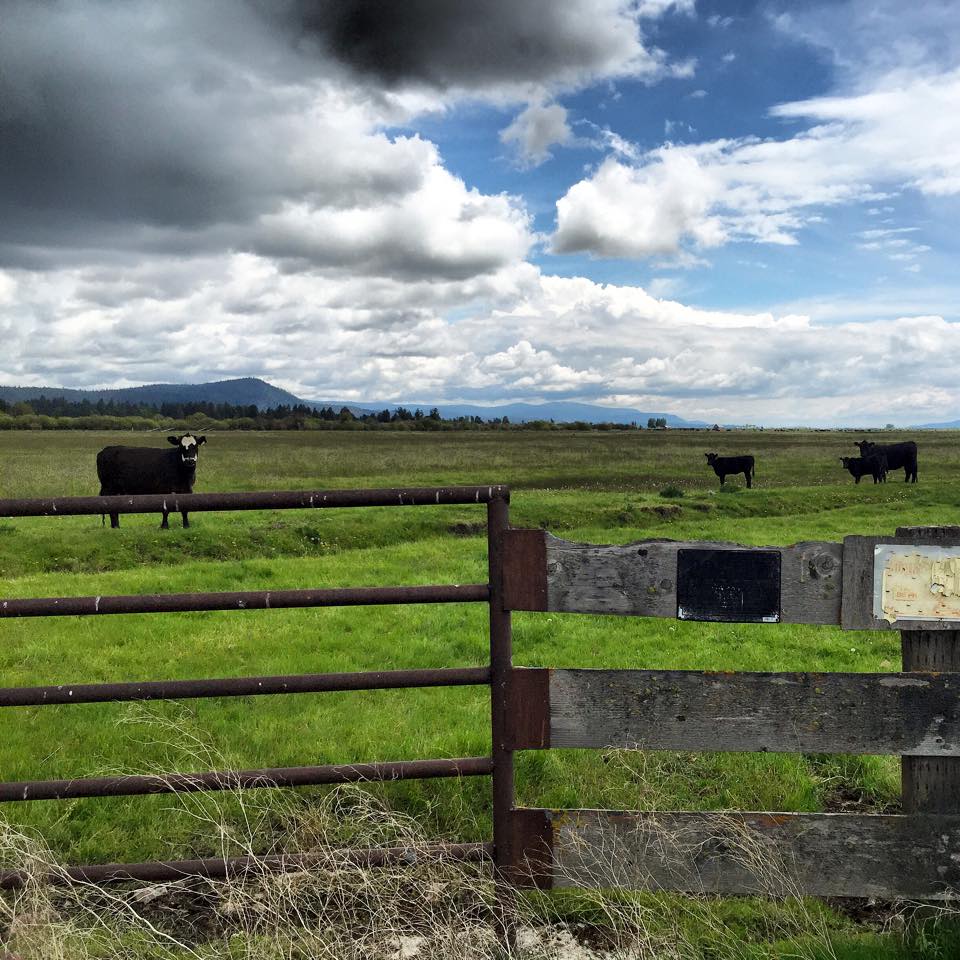 11064850_10102585858341120_2623211114964048254_n