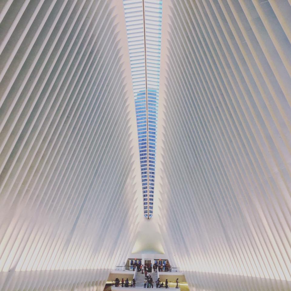 14333608_10103561225677160_1321953553271353204_n