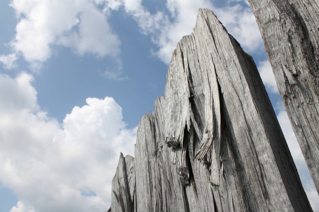 288686_10100259532726300_1826609254_o