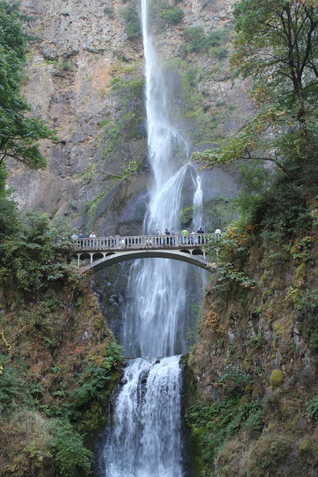 300984_10100269947879250_87440896_n